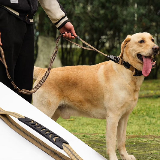 UnleashGo™ Tactical Bungee Leash