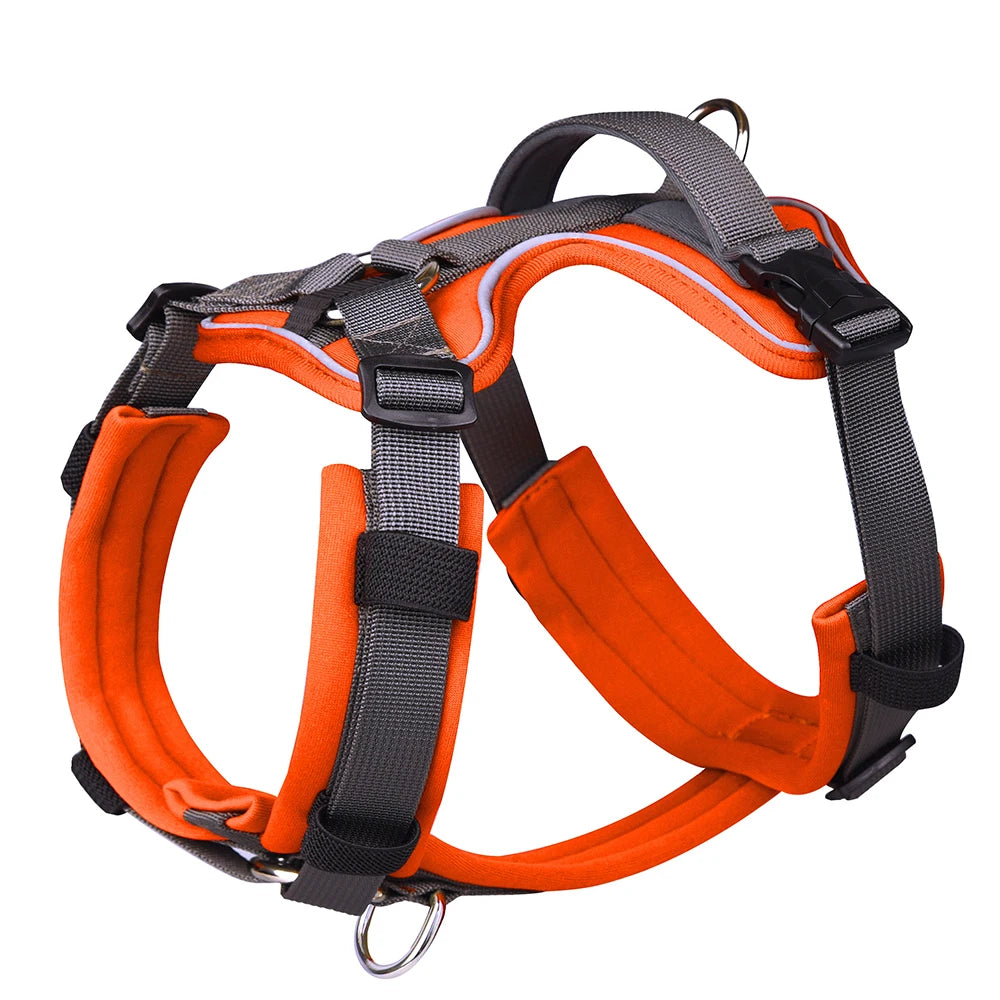 UnleashGo™ No-Pull Training Harness