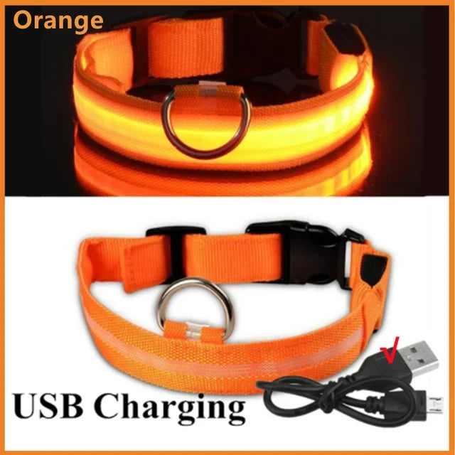 UnleashGo™ Night-Safe Glow Collar