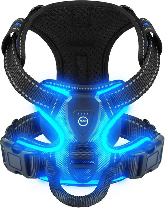 UnleashGo™ LED Night-Safe Harness