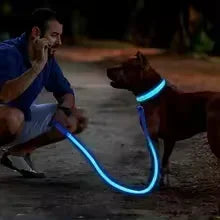 UnleashGo™ Night-Safe Glow Collar
