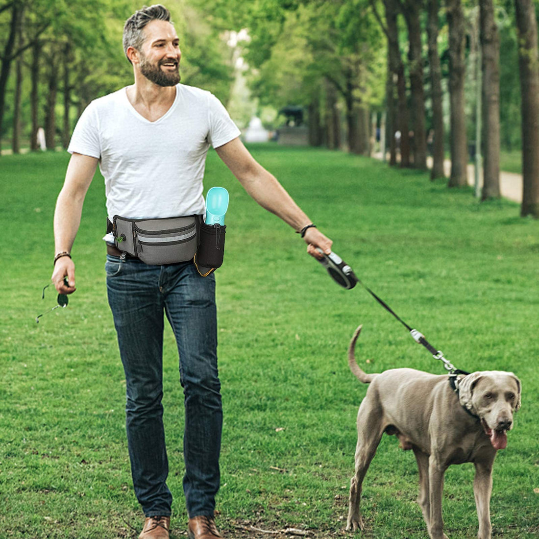How to Enjoy Peaceful Walks: Solutions for Dogs Who Pull on the Leash