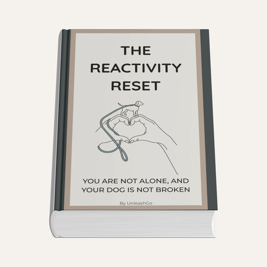 The Reactivity Reset: You're not Alone, and Your Dog is not Broken