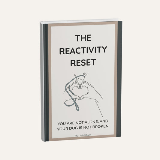 The Reactivity Reset: You're not Alone, and Your Dog is not Broken