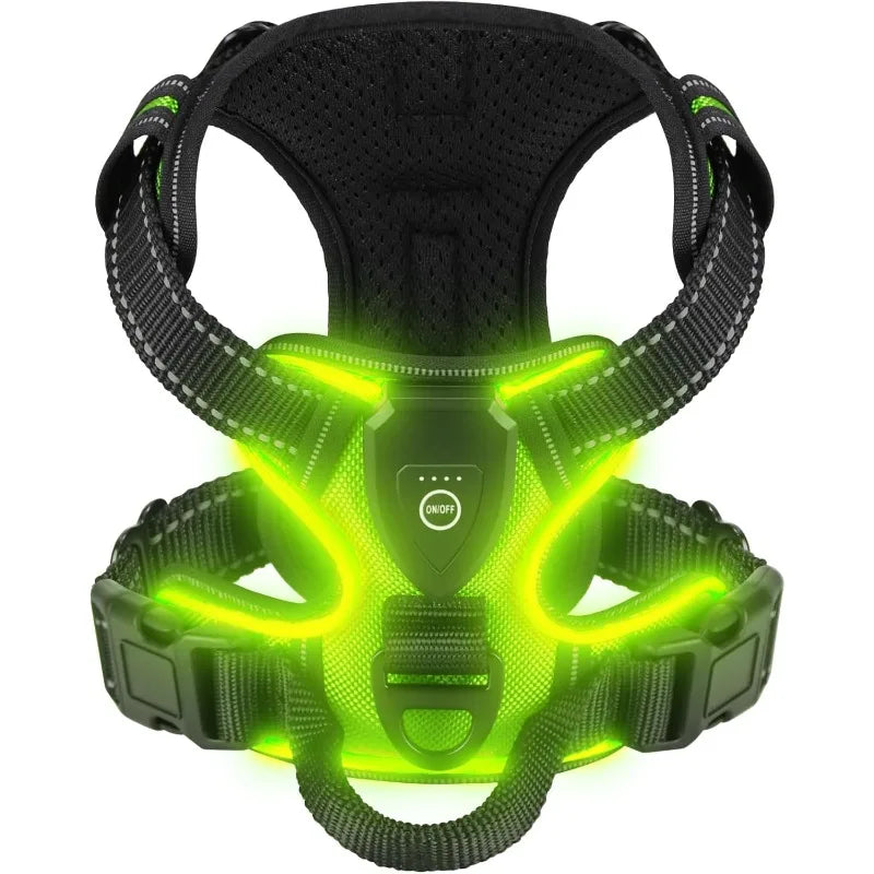 UnleashGo™ LED Night-Safe Harness