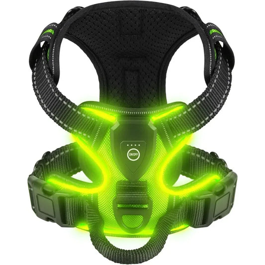 UnleashGo™ LED Night-Safe Harness