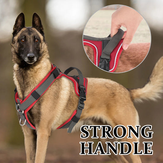UnleashGo™ No-Pull Training Harness