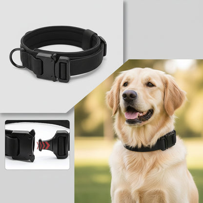 UnleashGo™ Adjustable Tactical Dog Collar &amp; Leash Set From Chaos to Control: The Max &amp; Jake Story